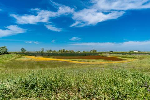 9060 E Levee Rd, Elverta, CA 95626 photo 8