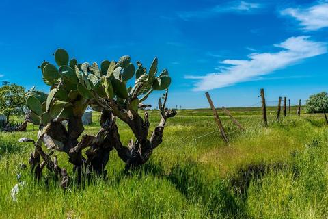 9060 E Levee Rd, Elverta, CA 95626 photo 11