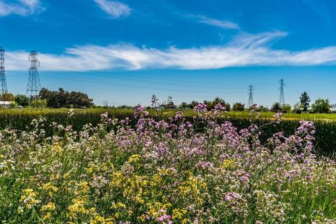 9060 E Levee Rd, Elverta, CA 95626 photo 2