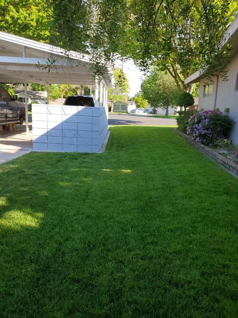 1009 Phelps Ave, Modesto, CA 95350 photo 9