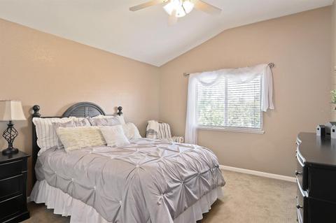 859 Cherry Blossom Ln, Tracy, CA 95377 photo 32