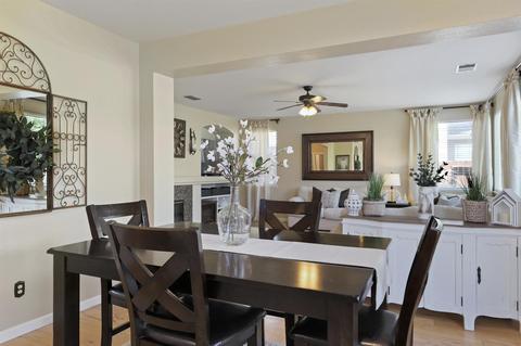 859 Cherry Blossom Ln, Tracy, CA 95377 photo 17