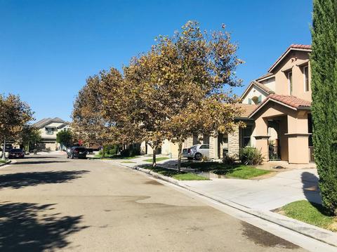17382 Pheasant Downs Rd, Lathrop, CA 95330 photo 2