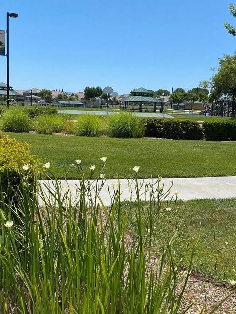 17382 Pheasant Downs Rd, Lathrop, CA 95330 photo 13