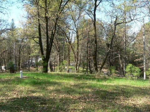 272 Rabbit Foot Rd, West Point, CA 95255 photo 5