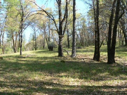 272 Rabbit Foot Rd, West Point, CA 95255 photo 16