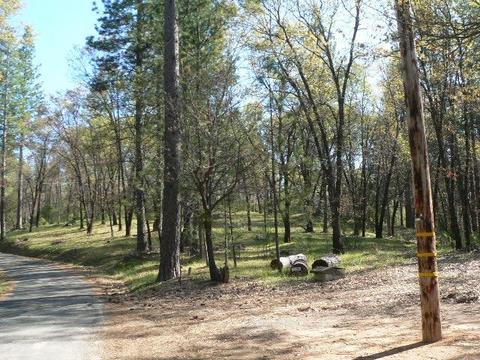 272 Rabbit Foot Rd, West Point, CA 95255 photo 3