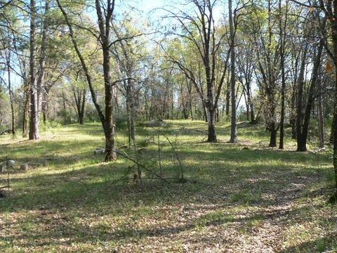 272 Rabbit Foot Rd, West Point, CA 95255 photo 1