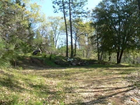 272 Rabbit Foot Rd, West Point, CA 95255 photo 9