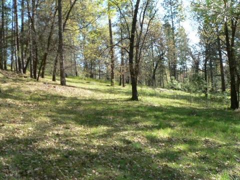 272 Rabbit Foot Rd, West Point, CA 95255 photo 2