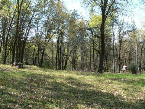 272 Rabbit Foot Rd, West Point, CA 95255 photo 15