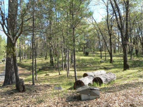 272 Rabbit Foot Rd, West Point, CA 95255 photo 4