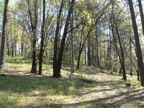 272 Rabbit Foot Rd, West Point, CA 95255 photo 12