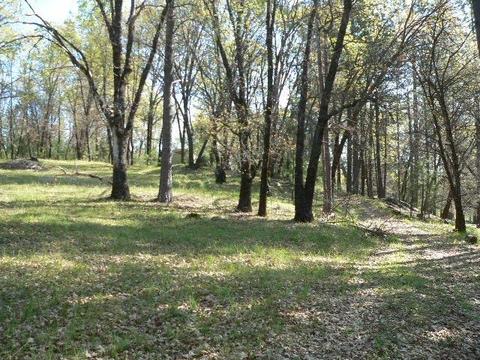 272 Rabbit Foot Rd, West Point, CA 95255 photo 7