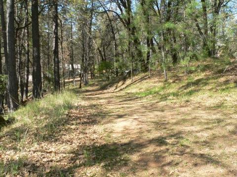 272 Rabbit Foot Rd, West Point, CA 95255 photo 8