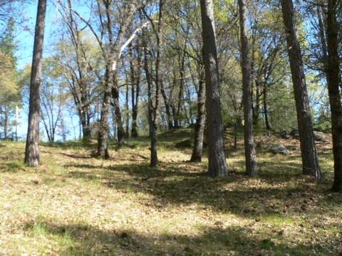 272 Rabbit Foot Rd, West Point, CA 95255 photo 14