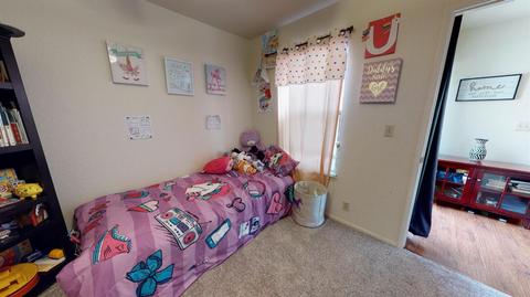 385 Scenic Pl, Manteca, CA 95337 photo 17