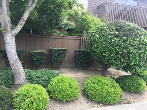 1924 Red Oak Dr, Modesto, CA 95354 photo 4