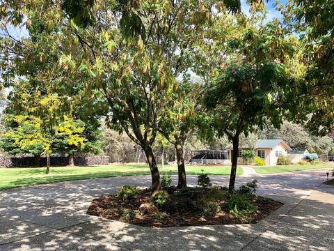 22402 Mccourtney Rd, Grass Valley, CA 95949 photo 50