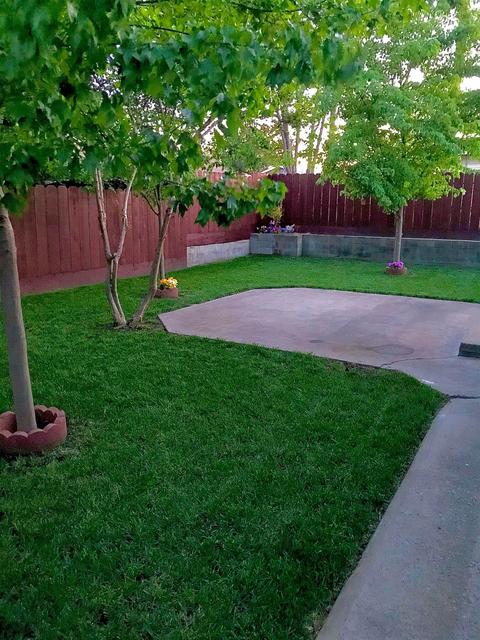 408 Eva Dr, Manteca, CA 95336 photo 23