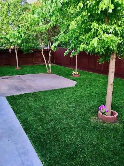 408 Eva Dr, Manteca, CA 95336 photo 20