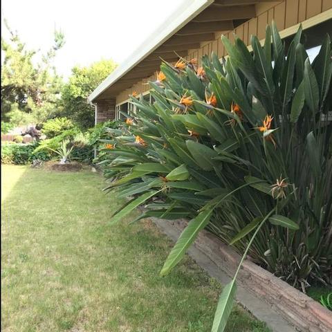 1542 Barnett Cir, Carmichael, CA 95608 photo 19