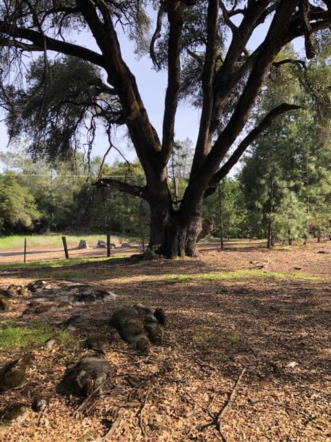 3448 Sand Ridge Rd, Placerville, CA 95667 photo 9