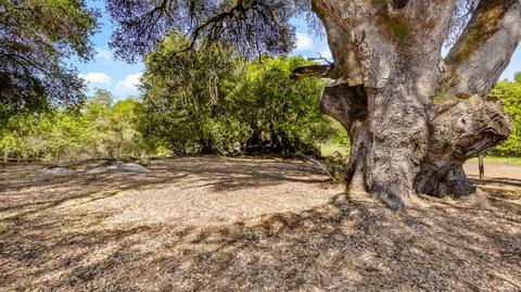 3448 Sand Ridge Rd, Placerville, CA 95667 photo 16