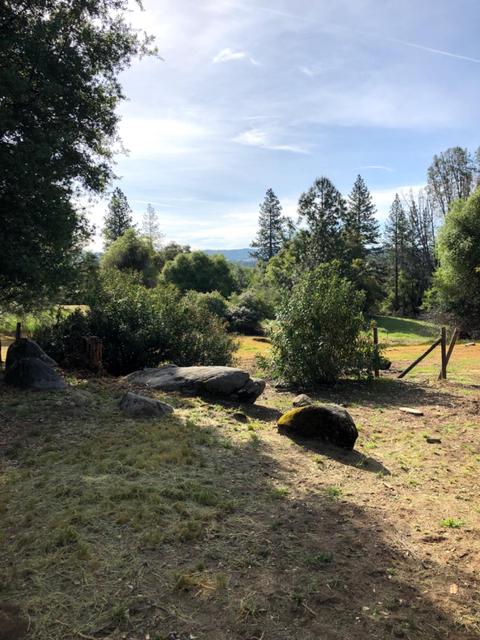3448 Sand Ridge Rd, Placerville, CA 95667 photo 13