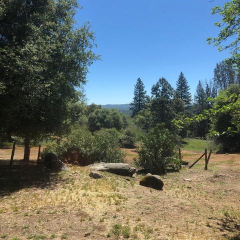 3448 Sand Ridge Rd, Placerville, CA 95667 photo 18