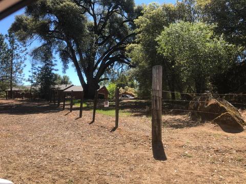 3448 Sand Ridge Rd, Placerville, CA 95667 photo 15