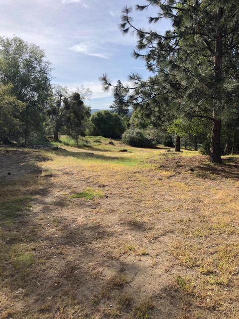 3448 Sand Ridge Rd, Placerville, CA 95667 photo 14