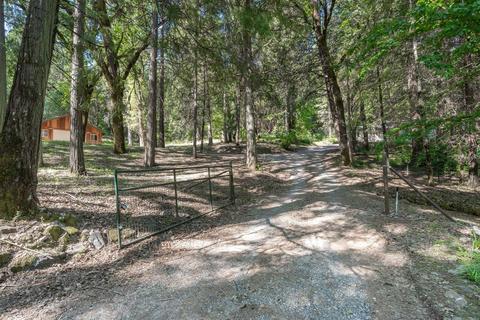 15055 Mitchell Mine Rd, Pine Grove, CA 95665 photo 42