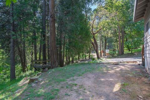 15055 Mitchell Mine Rd, Pine Grove, CA 95665 photo 4