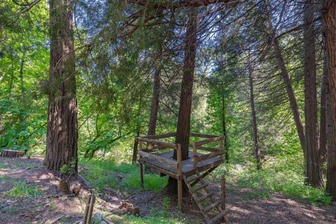 15055 Mitchell Mine Rd, Pine Grove, CA 95665 photo 8
