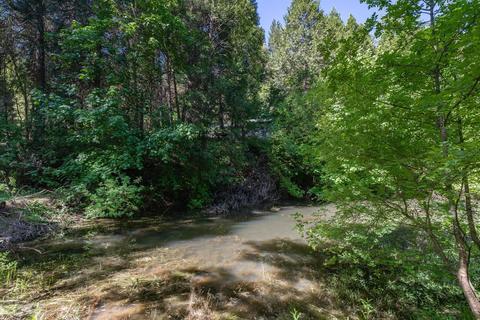 15055 Mitchell Mine Rd, Pine Grove, CA 95665 photo 45