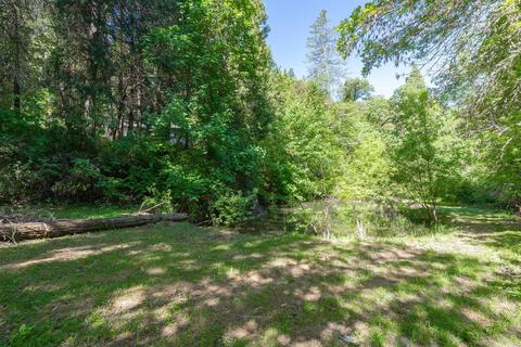 15055 Mitchell Mine Rd, Pine Grove, CA 95665 photo 44