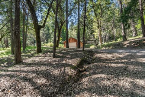 15055 Mitchell Mine Rd, Pine Grove, CA 95665 photo 41
