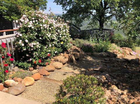 20200 Canyon View Rd, Jackson, CA 95642 photo 44