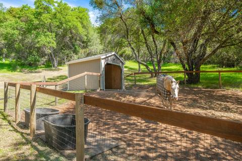 17501 Quail Trl, Jackson, CA 95642 photo 5
