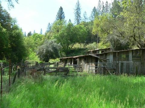 16985 Clinton Rd, Jackson, CA 95642 photo 17