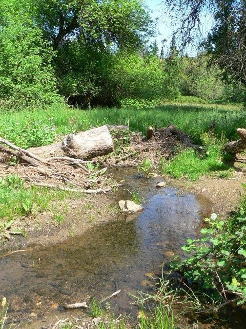 16985 Clinton Rd, Jackson, CA 95642 photo 69