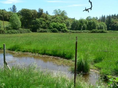 16985 Clinton Rd, Jackson, CA 95642 photo 2