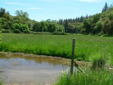 16985 Clinton Rd, Jackson, CA 95642 photo 71