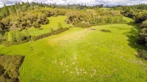 16985 Clinton Rd, Jackson, CA 95642 photo 75