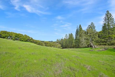16985 Clinton Rd, Jackson, CA 95642 photo 54