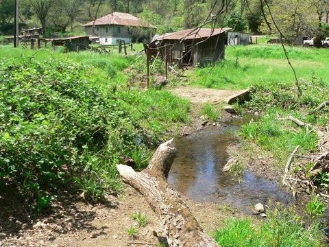 16985 Clinton Rd, Jackson, CA 95642 photo 68