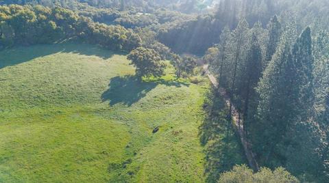 16985 Clinton Rd, Jackson, CA 95642 photo 82