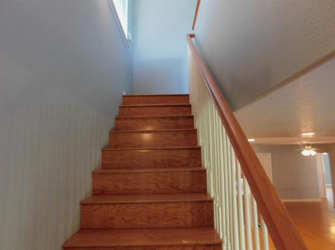 817 Daisy Ave, Lodi, CA 95240 photo 38