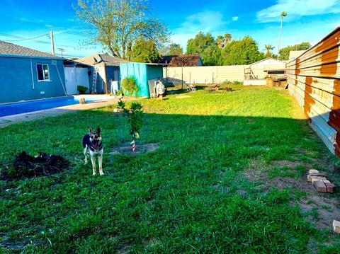 3318 Paradise Rd, Modesto, CA 95358 photo 12